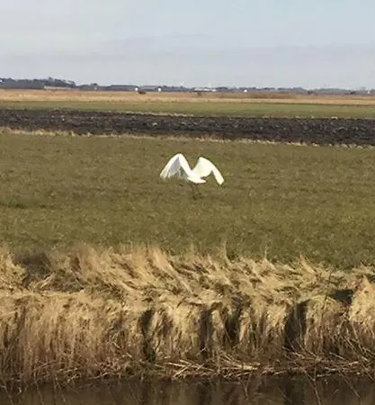 펜션 Near Romorim And Ribe